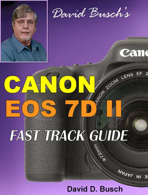 David Busch's Canon 7D II Fast Track Guide