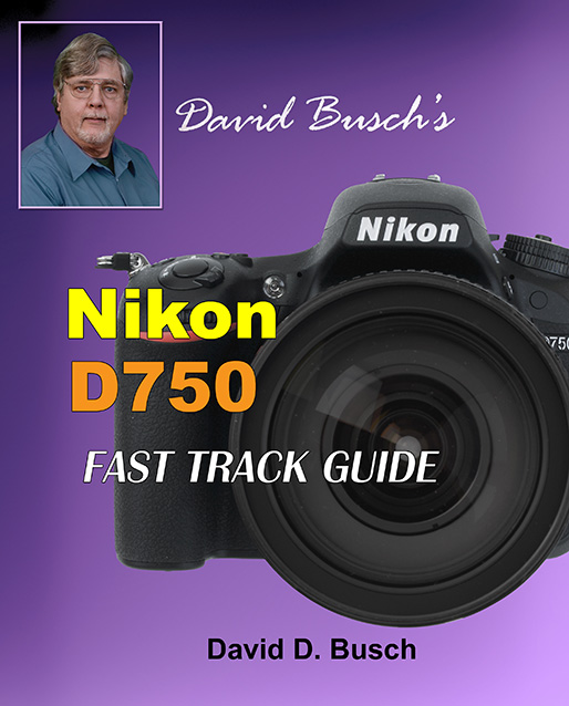 David Busch's Nikon D750 Fast Track Guide