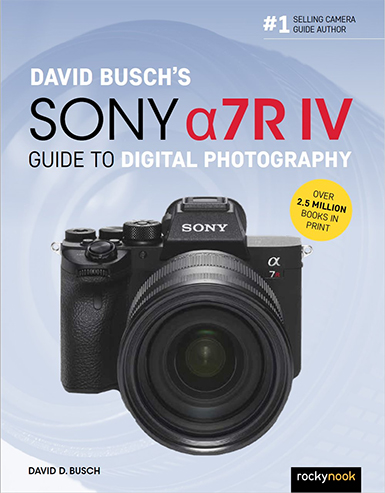 David Busch's Canon 7D II Fast Track Guide