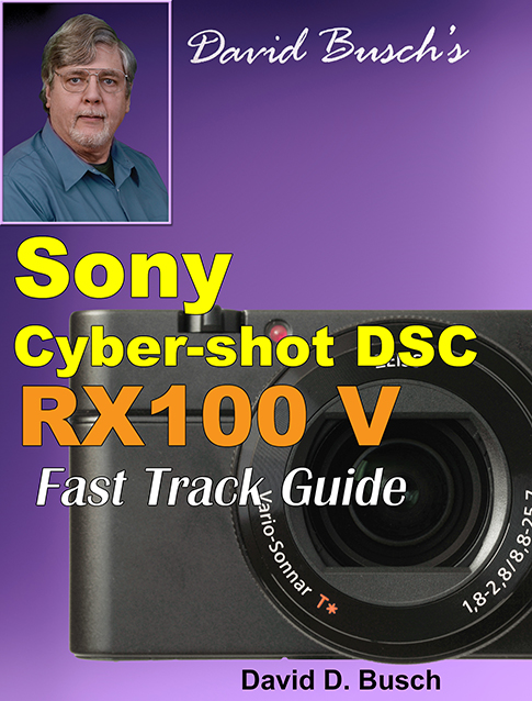 Sony Cyber-shot DMC-RX100 V